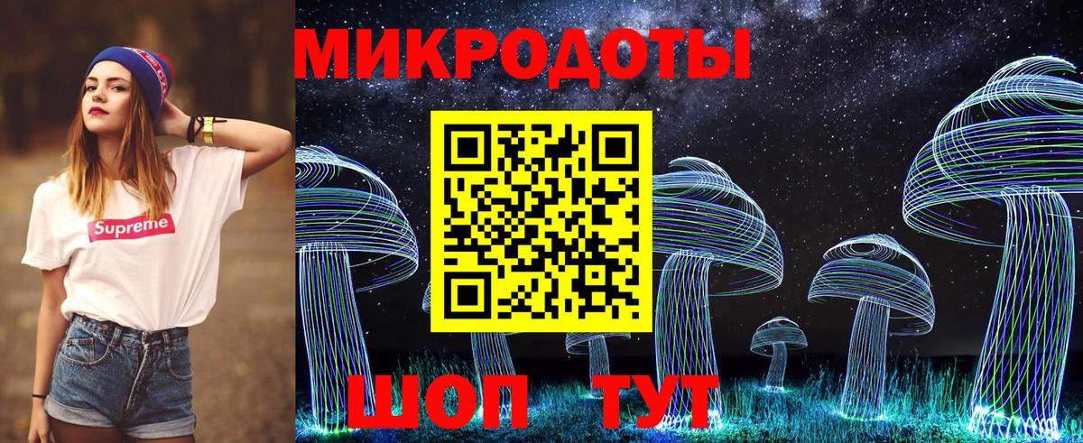 Томск  Галлюциногенные грибы прущие грибы  Вход с VPN 